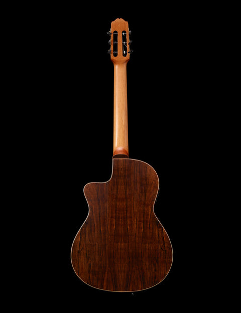 theTool™ Artist SE acoustic / electric