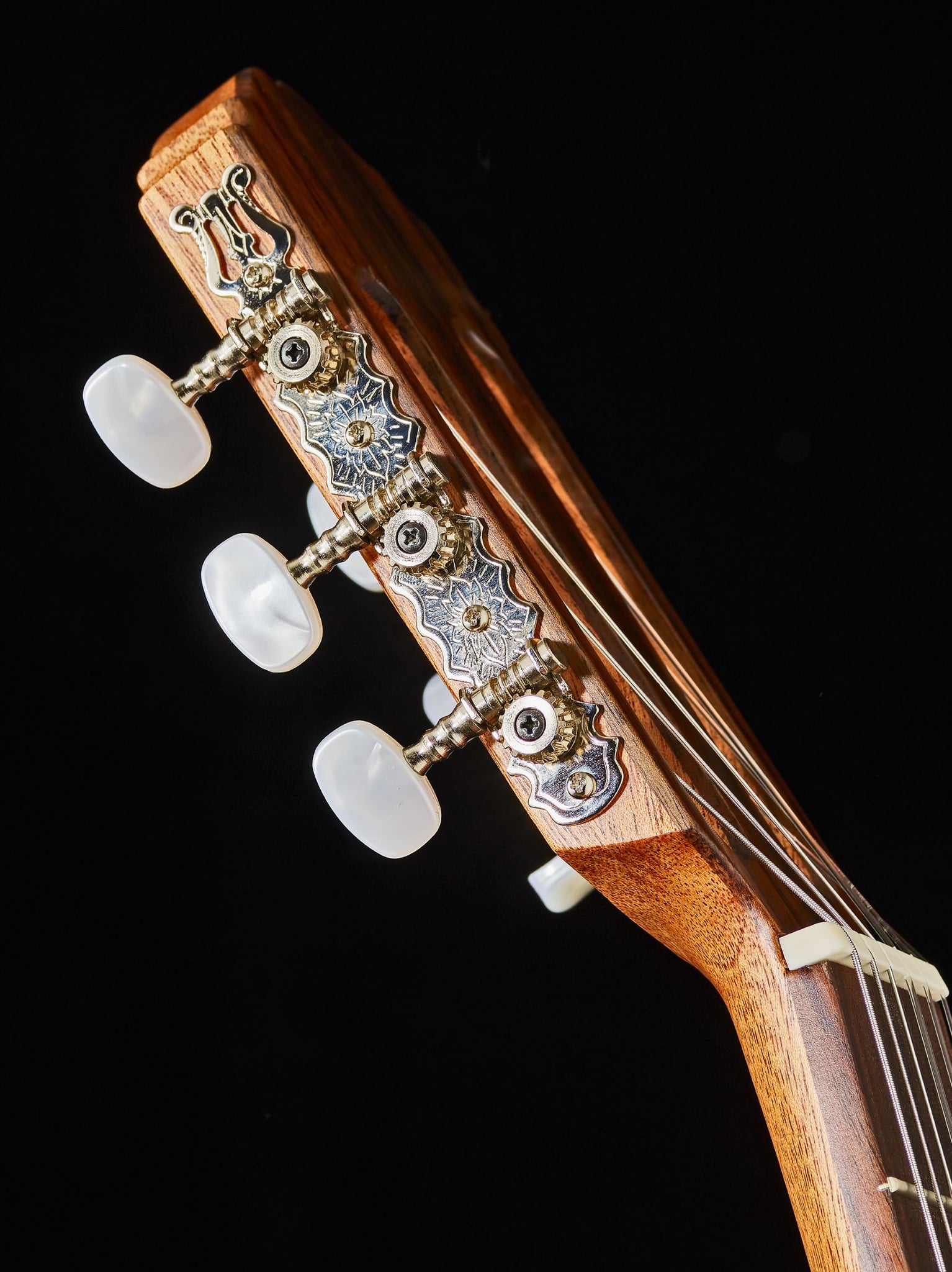 Classical guitar strings