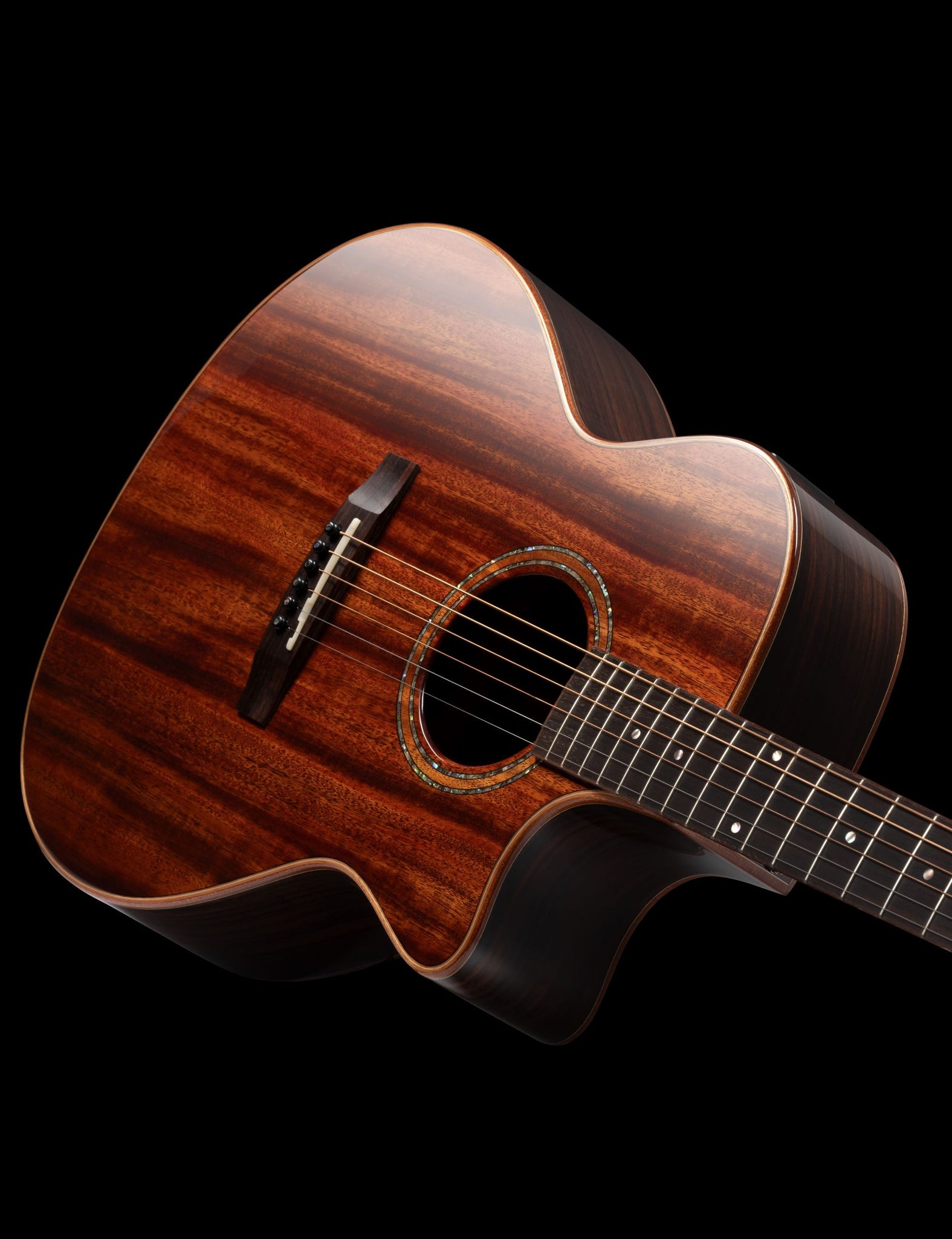 theTool™ A-1 acoustic / electric