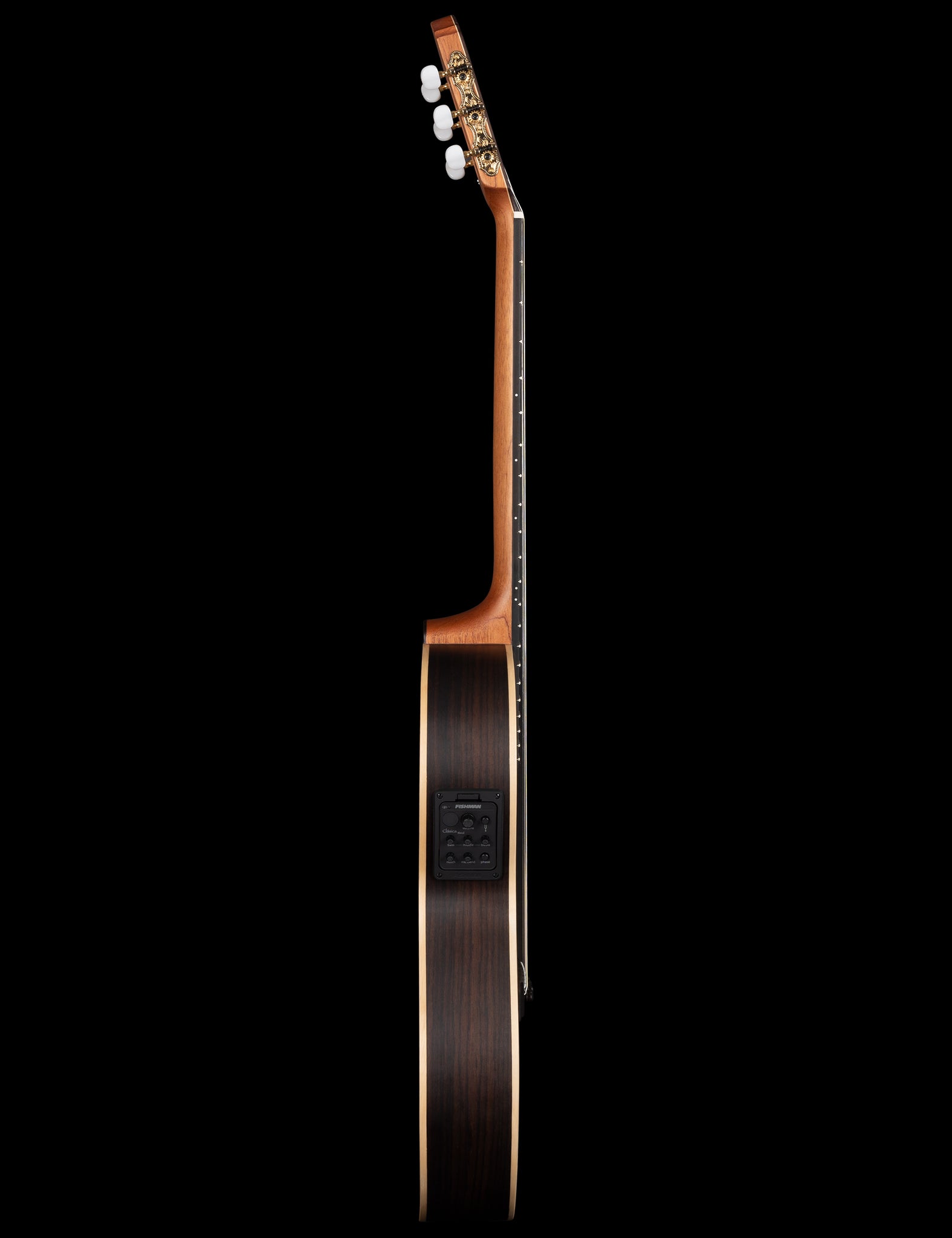 theTool™ Artist SE  acoustic / electric