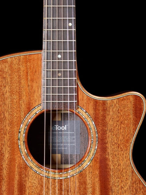 theTool™ A-1 acoustic / electric