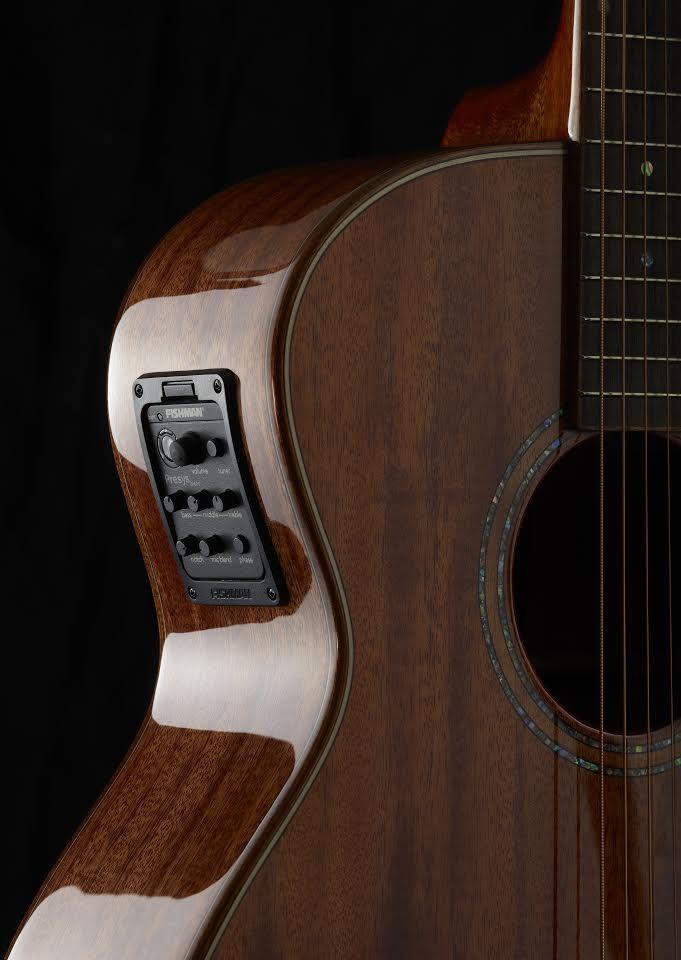 a-1 acoustic/ electric