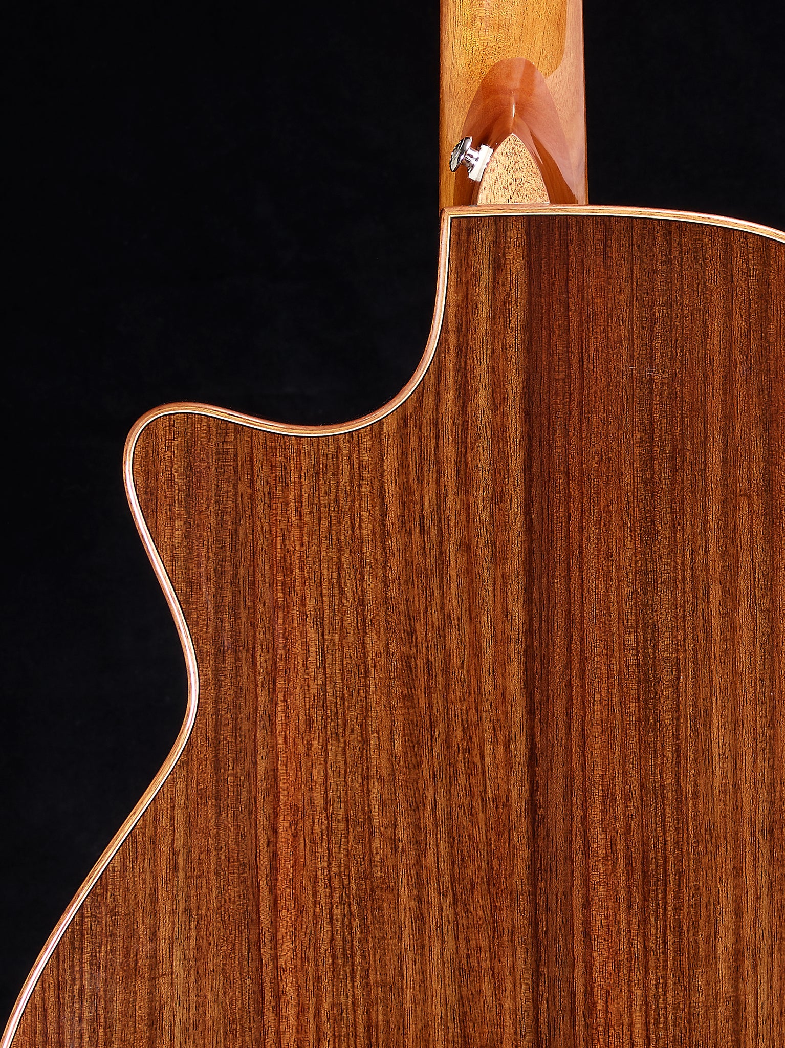a-1 acoustic/ electric rosewood back / sides