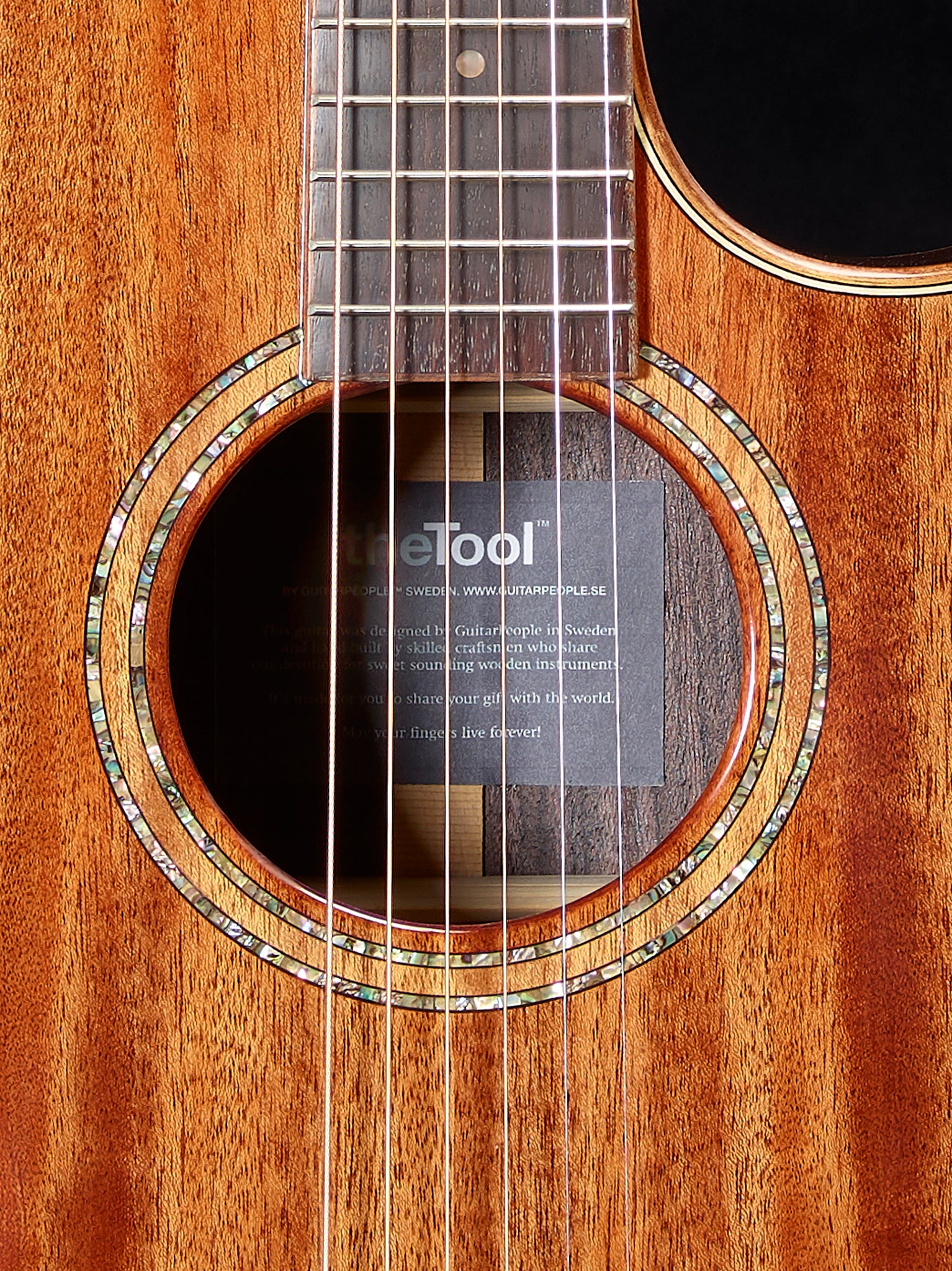 a-1 acoustic/ electric